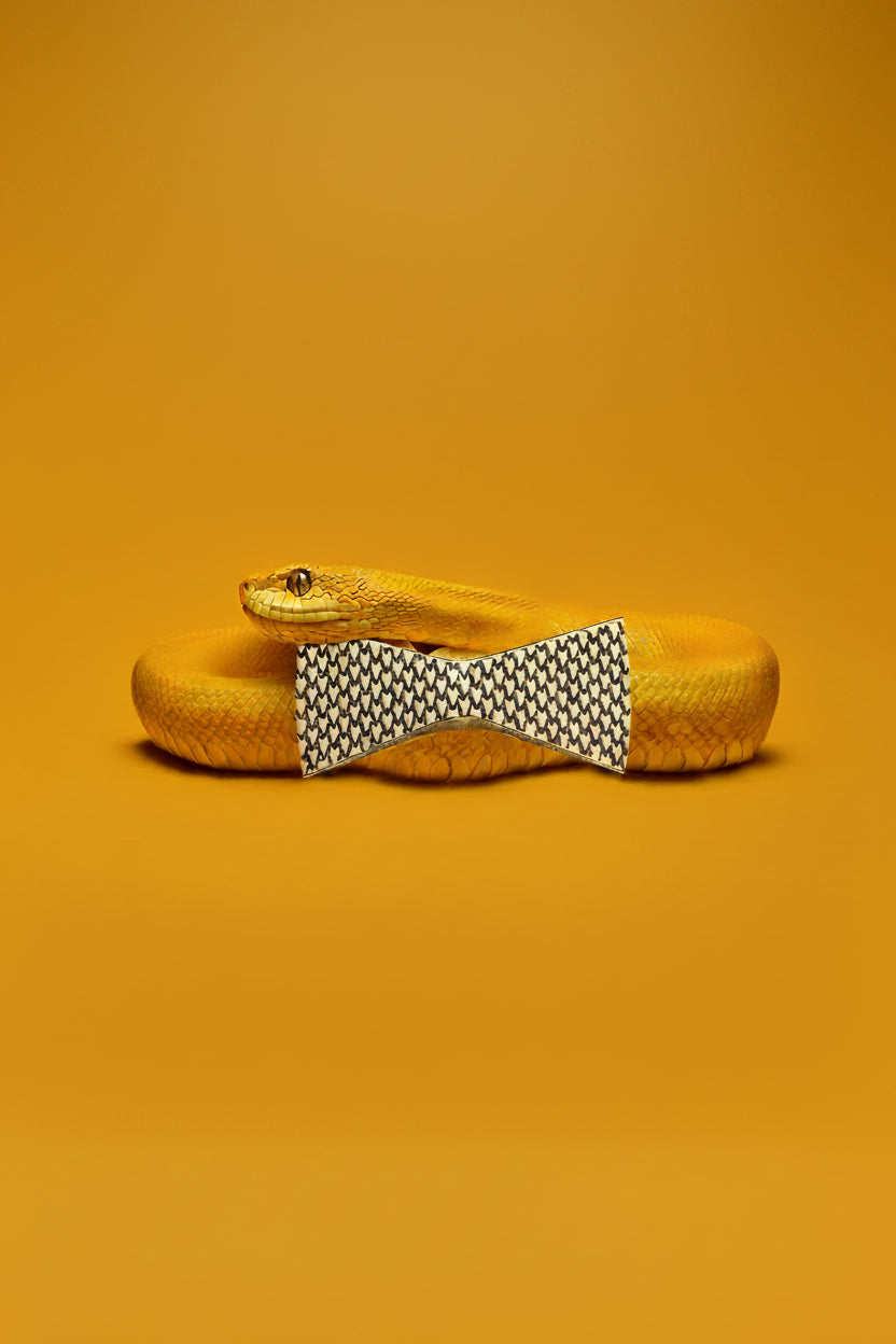 Yellow snake with a gold bow tie on an orange background